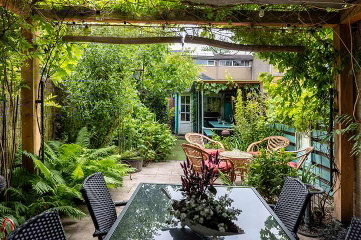 Foto 29 van Kokmeeuw 13