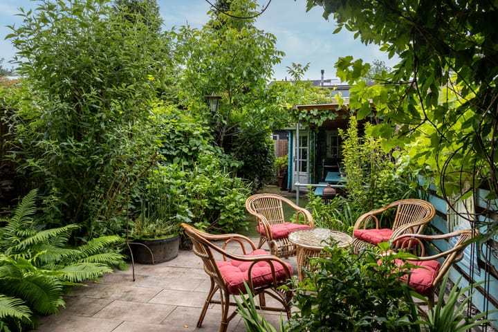 Foto 30 van Kokmeeuw 13