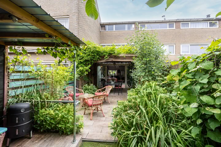 Foto 33 van Kokmeeuw 13