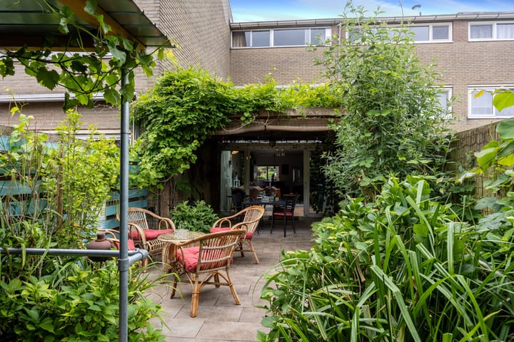 Foto 34 van Kokmeeuw 13