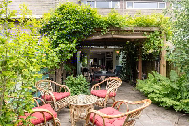 Foto 35 van Kokmeeuw 13