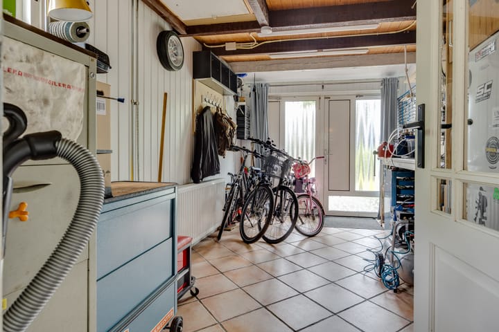 Foto 36 van Kokmeeuw 13