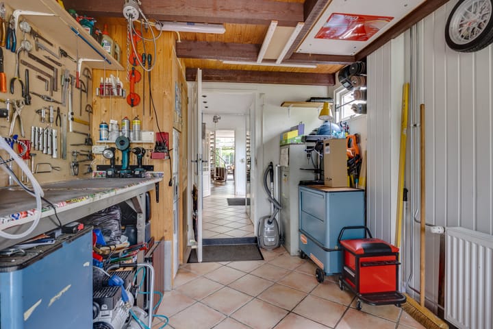 Foto 37 van Kokmeeuw 13