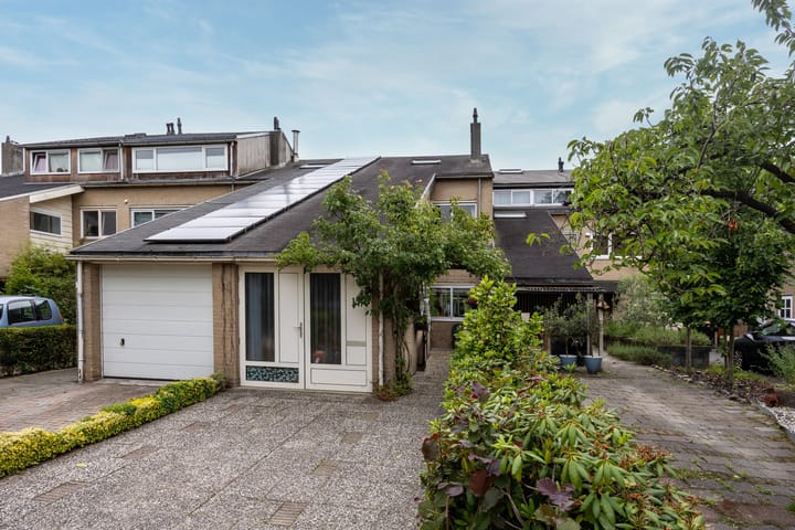 Foto 38 van Kokmeeuw 13