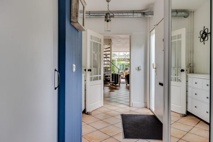 Foto 39 van Kokmeeuw 13