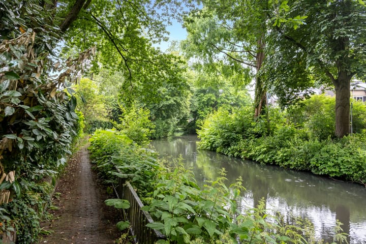 Foto 40 van Kokmeeuw 13