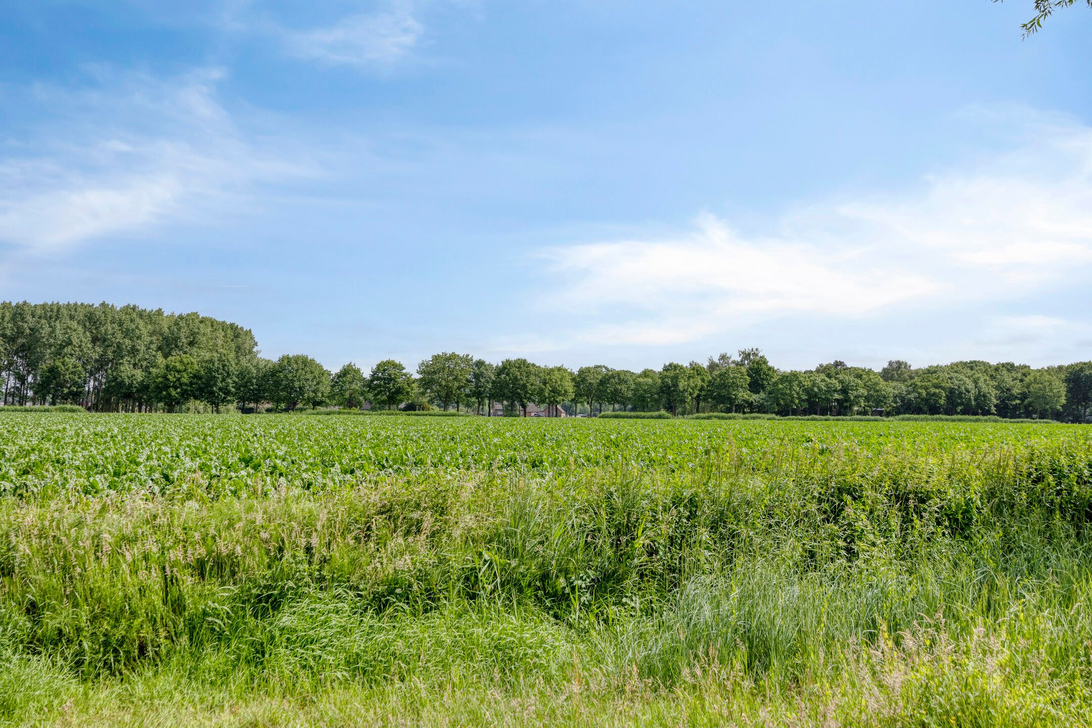 Foto 27 van Thijs Slootshof 9