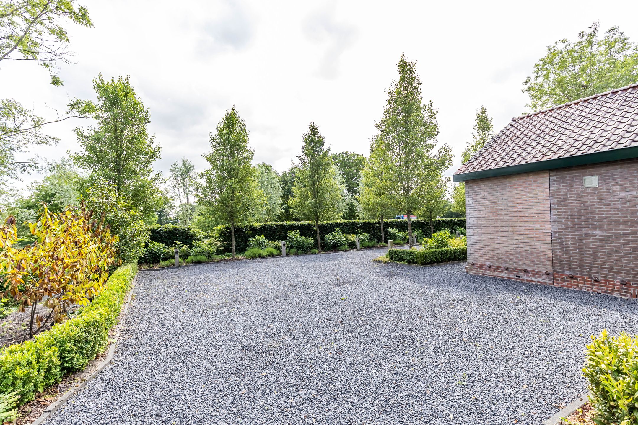 Photo 6 of Scheiding 51