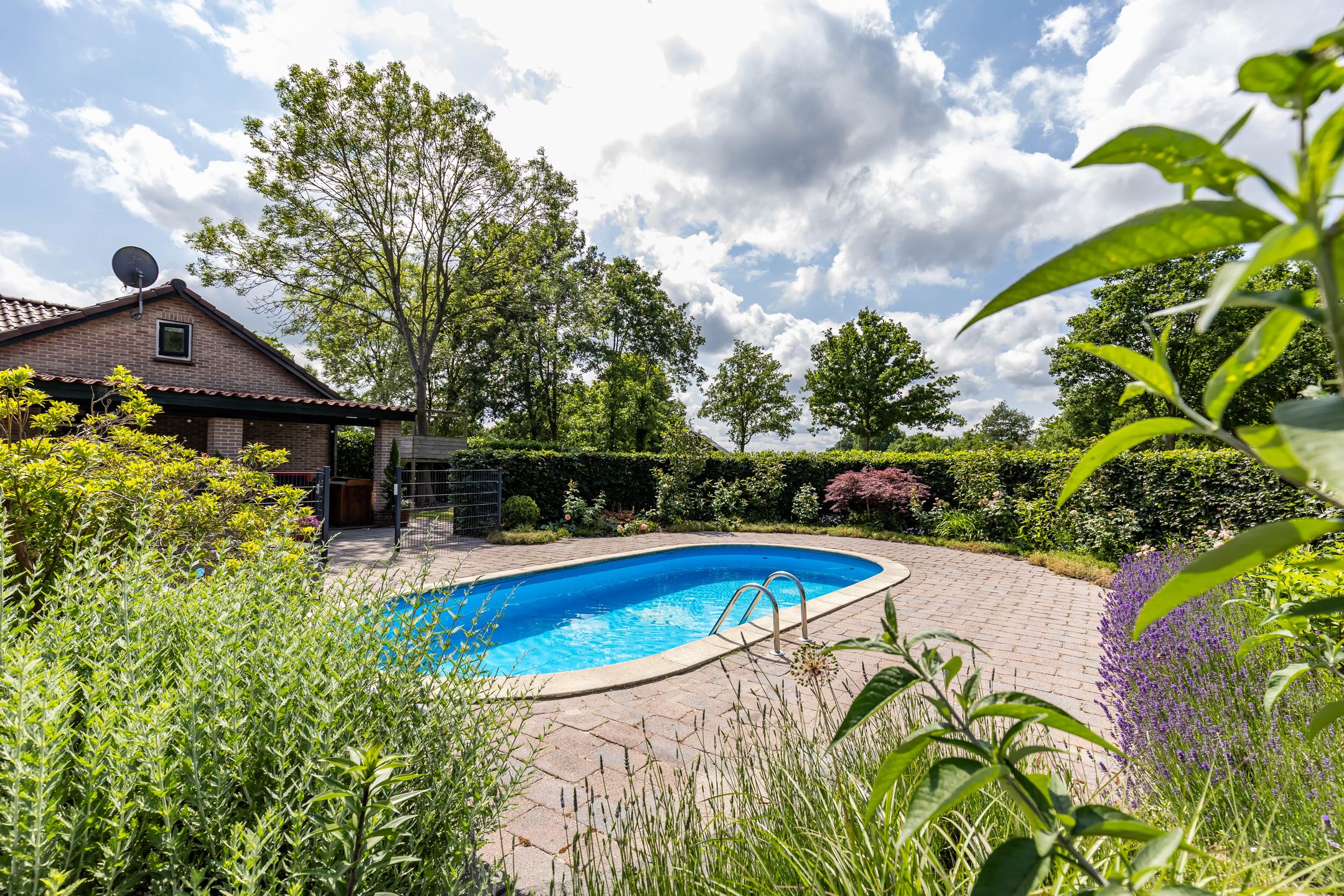 Photo 3 of Scheiding 51