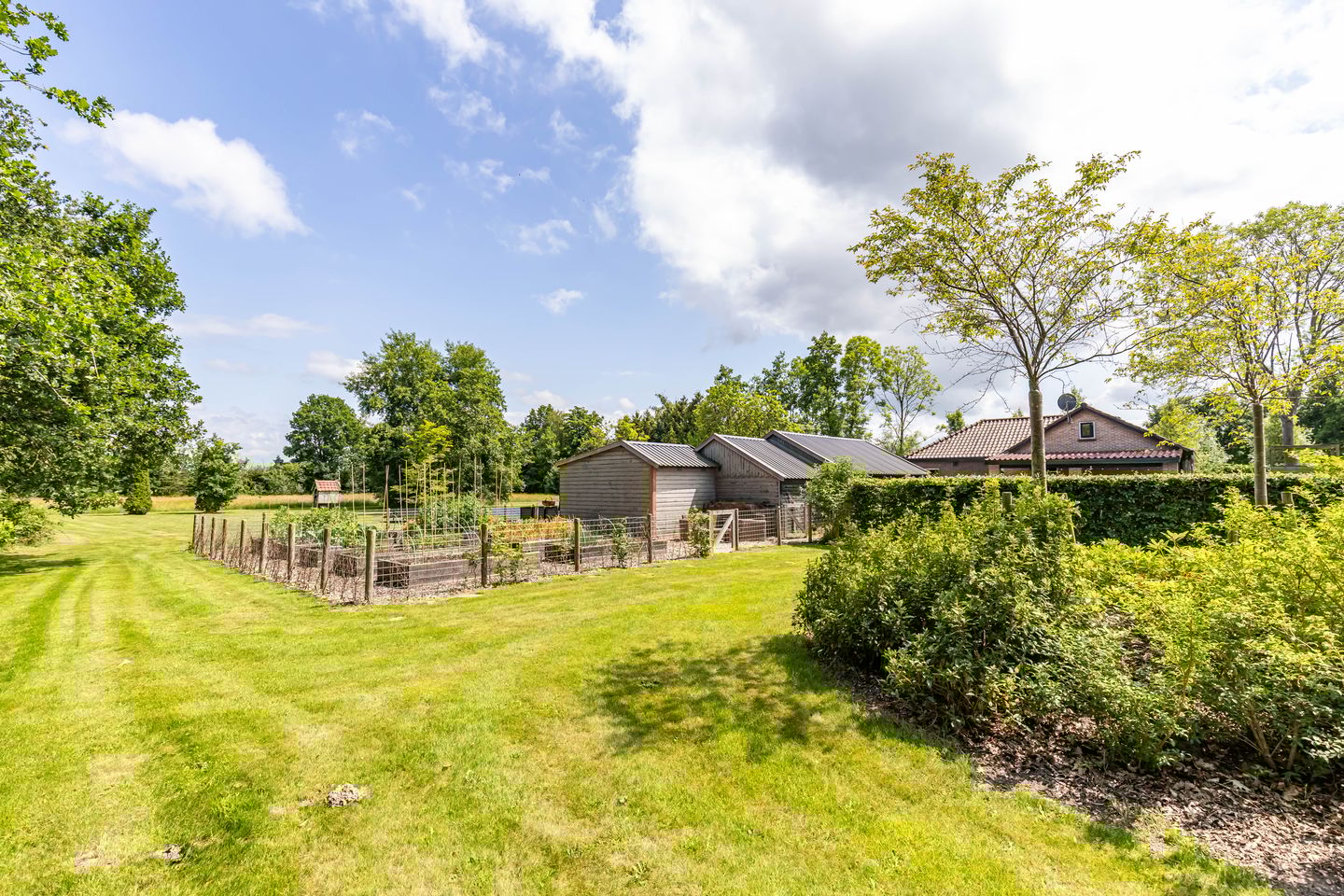 Photo 40 of Scheiding 51