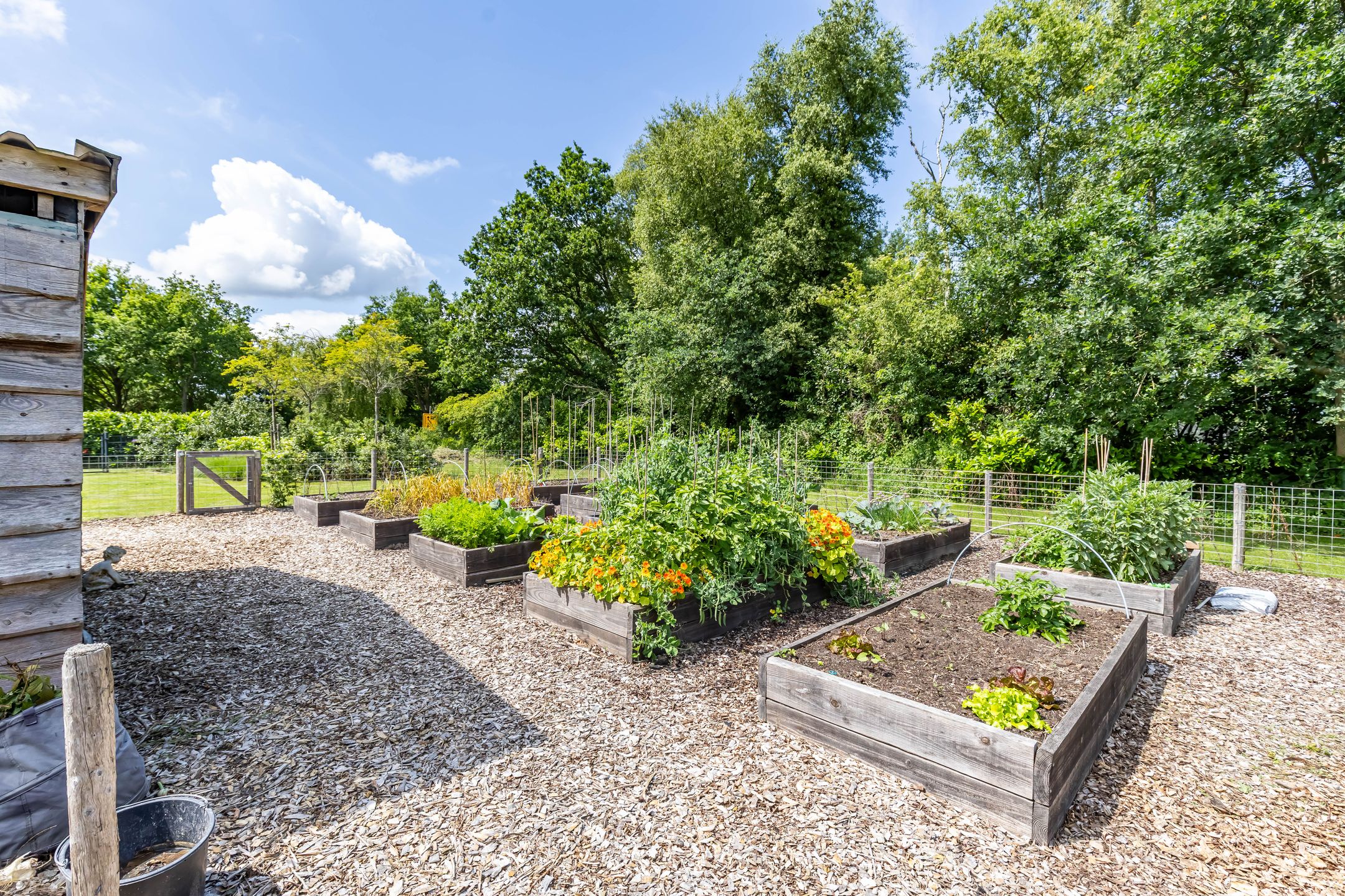 Photo 42 of Scheiding 51