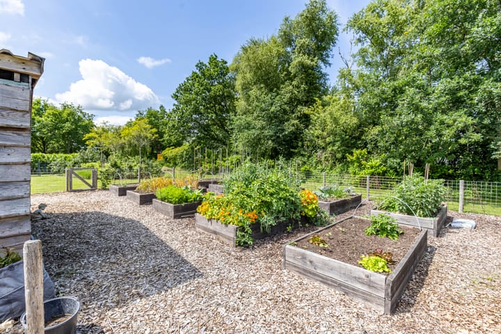 Foto 42 van Scheiding 51