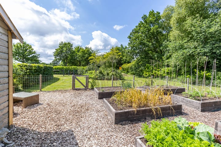 Foto 43 van Scheiding 51