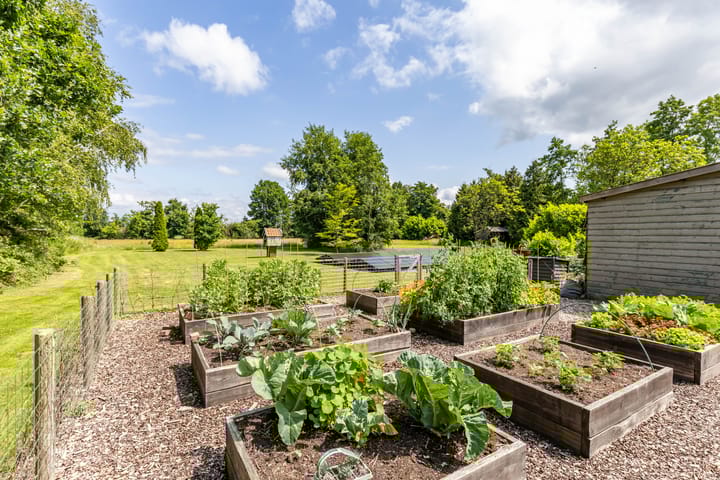 Foto 44 van Scheiding 51