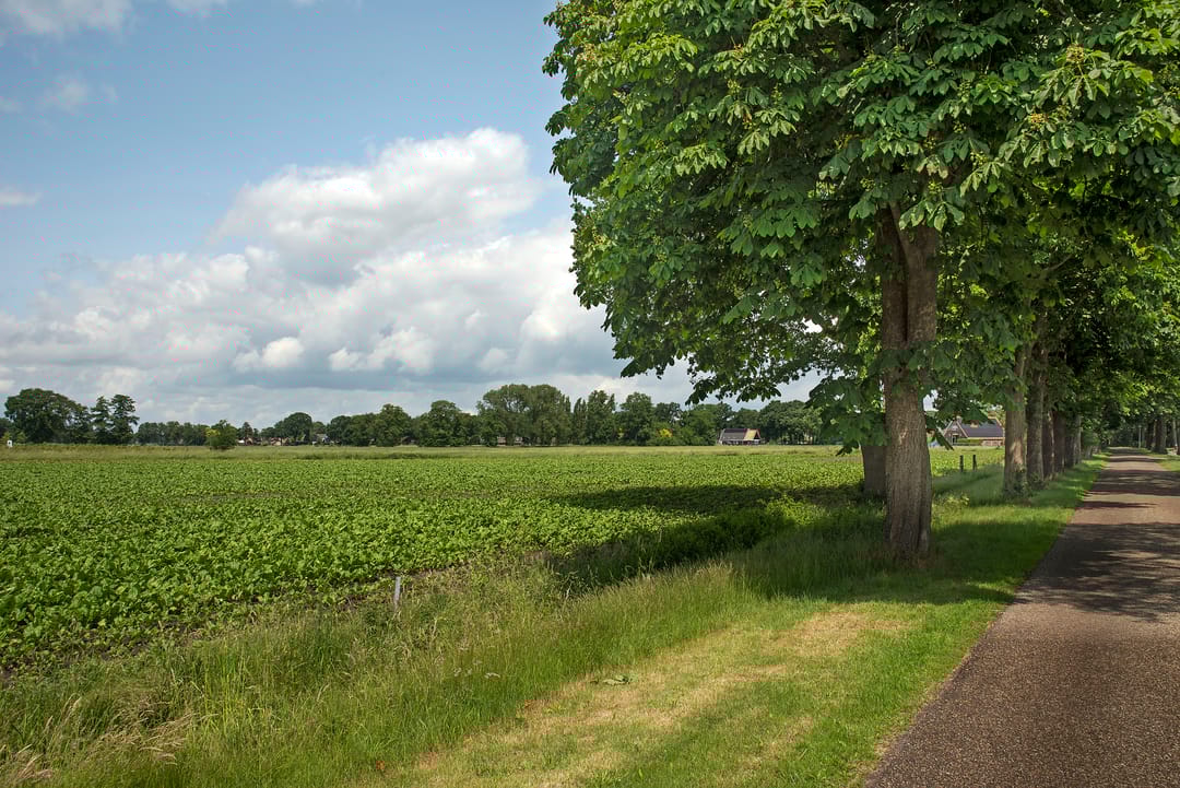 Foto 47 van Zwilweg 2