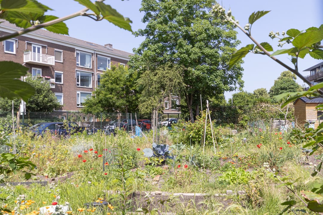 Foto 23 van Plesmanlaan 50-1