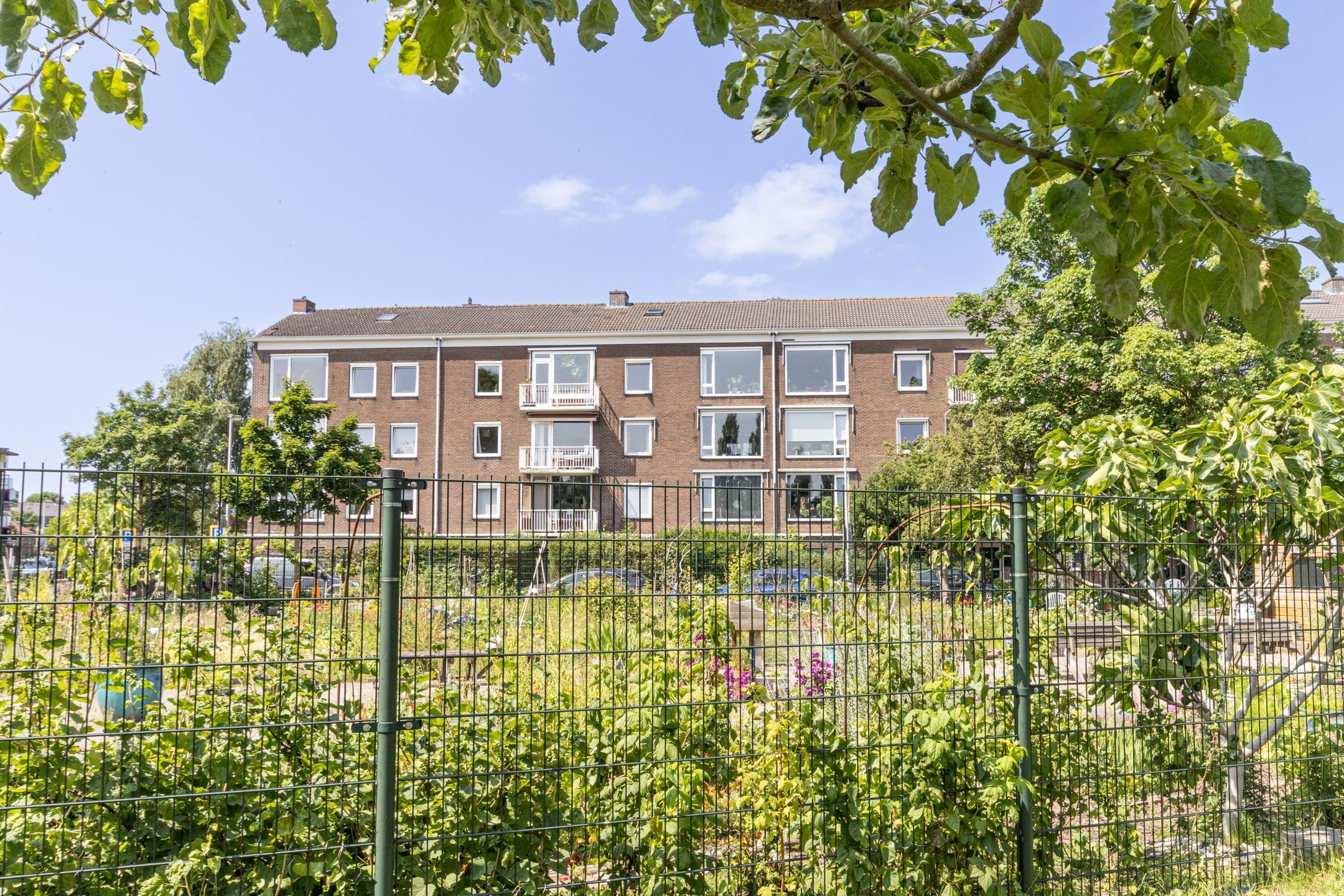 Foto 24 van Plesmanlaan 50-1