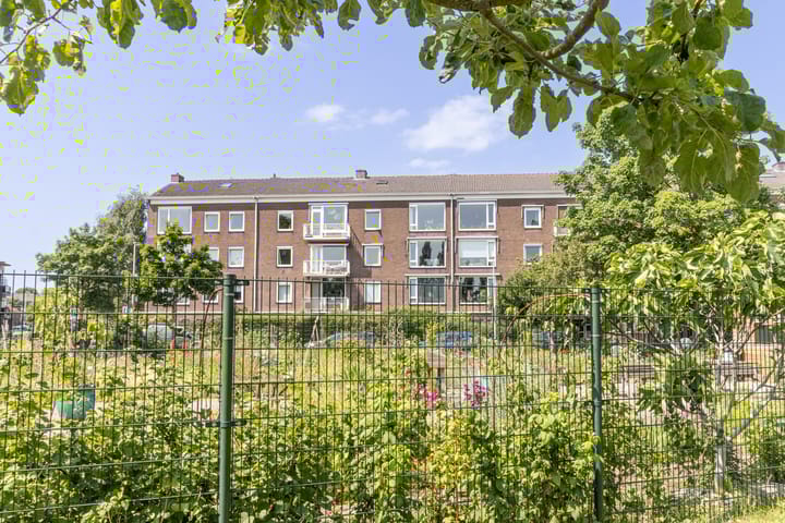 Foto 24 van Plesmanlaan 50-1