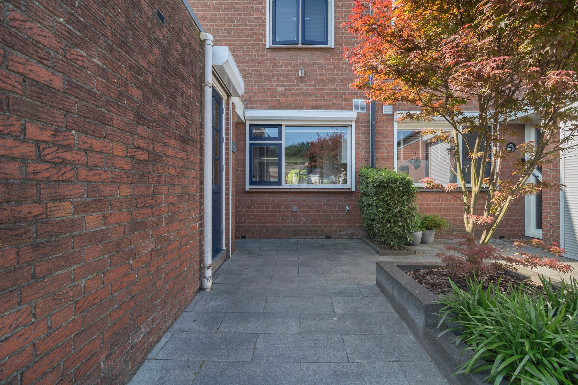 Foto 39 van Eleolietdijk 50