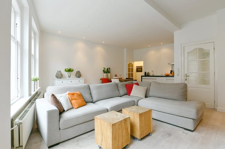 Foto 1 van Springweg 67-A