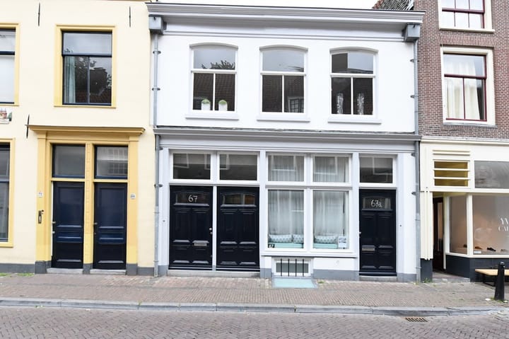 Foto 2 van Springweg 67-A