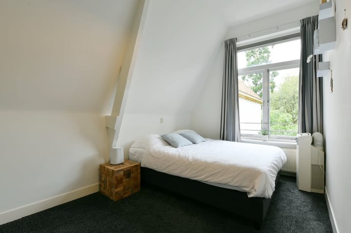 Foto 8 van Springweg 67-A