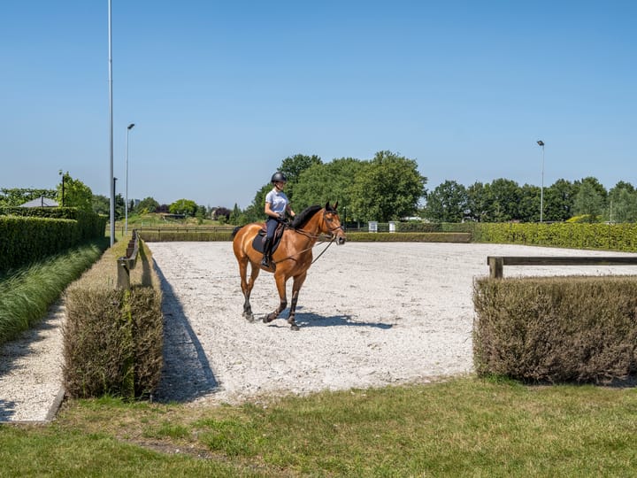 Photo 20 of Buitendreef 50