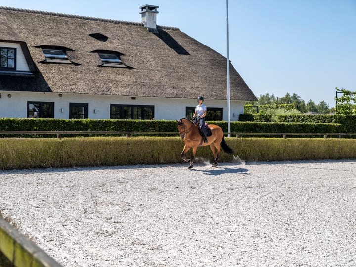 Photo 21 of Buitendreef 50