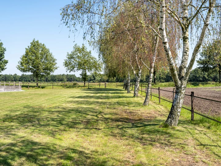 Photo 22 of Buitendreef 50