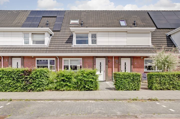 Foto 1 van Zilversmid 6