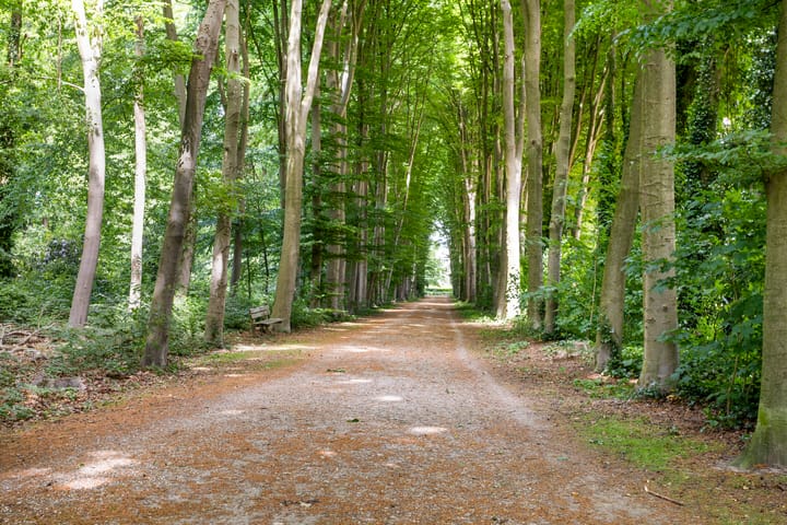 Foto 26 van De Vrijburg 12