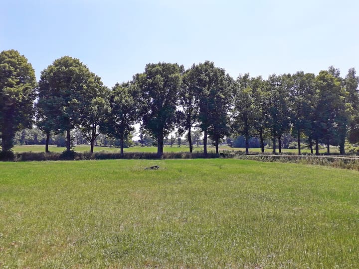 Foto 35 van Molenstraat 14