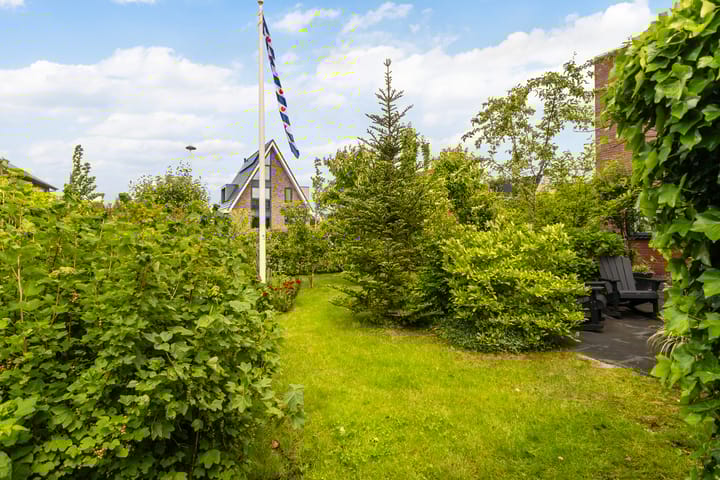 Foto 38 van Blitsaerderleane 46