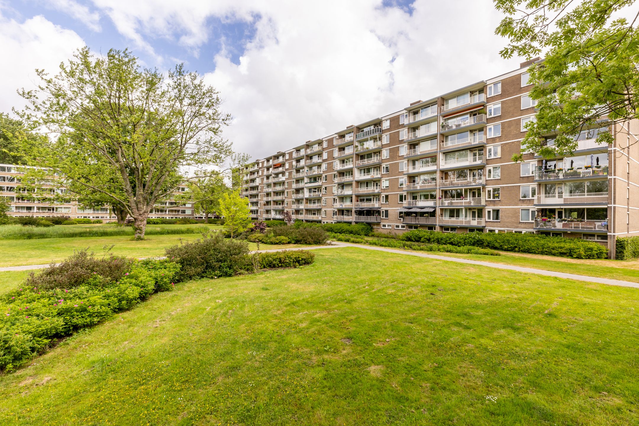 Foto 3 van Adriaan Dortsmanstraat 149