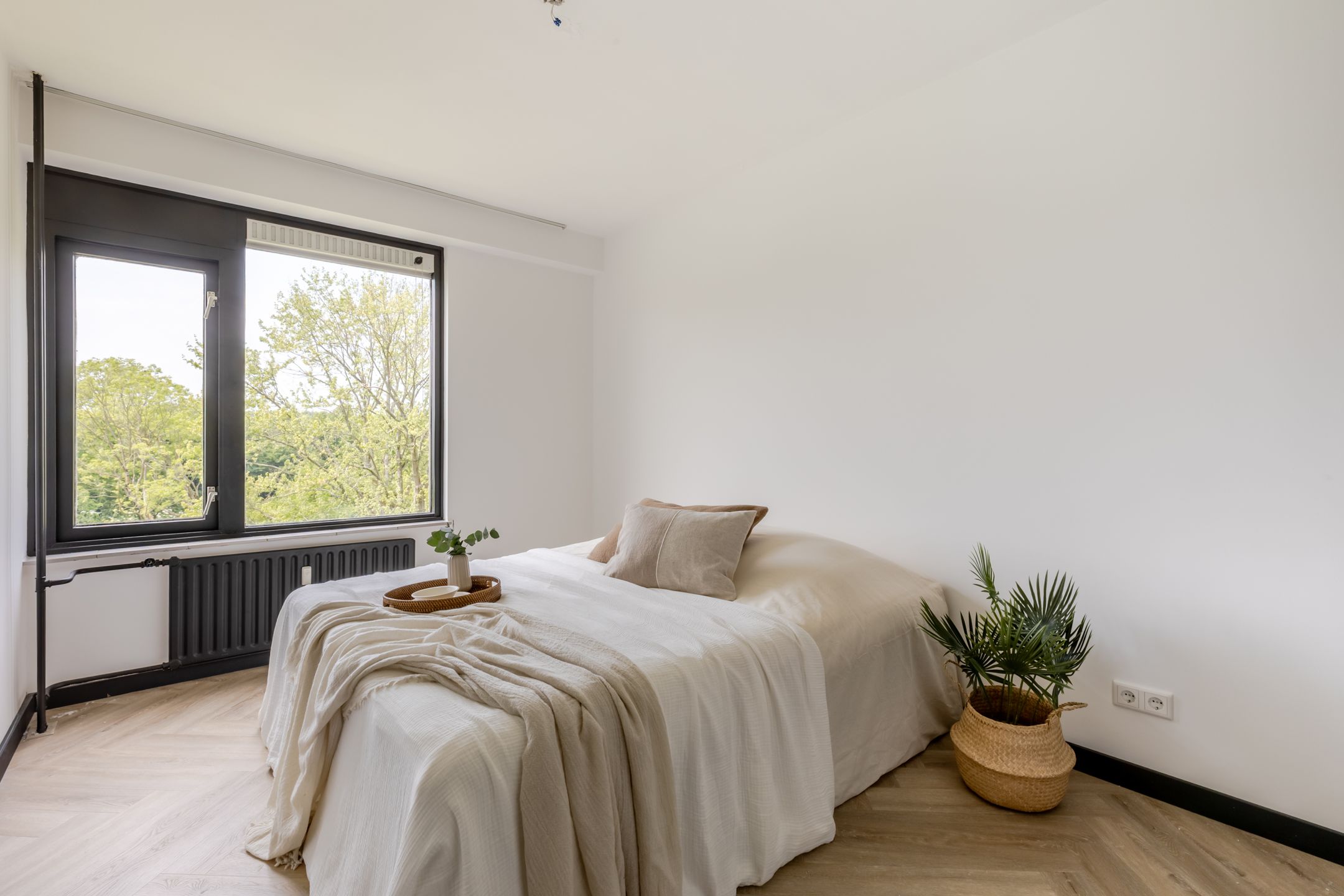 Foto 18 van Adriaan Dortsmanstraat 149