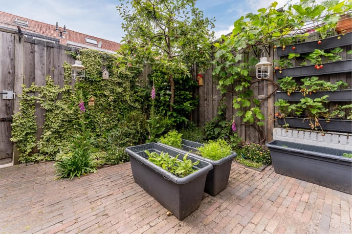 Foto 29 van van Middelantstraat 5