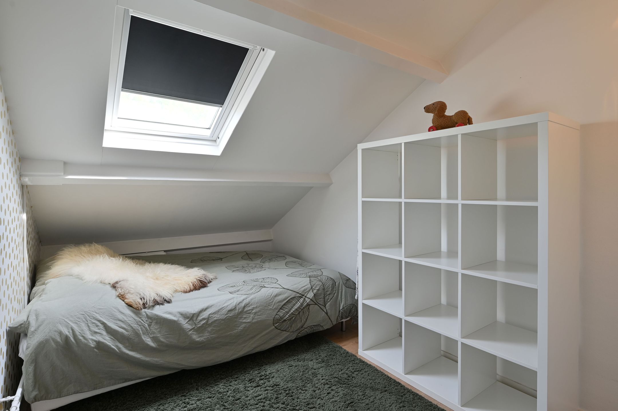 Foto 18 van Ceintuurbaan 64-II