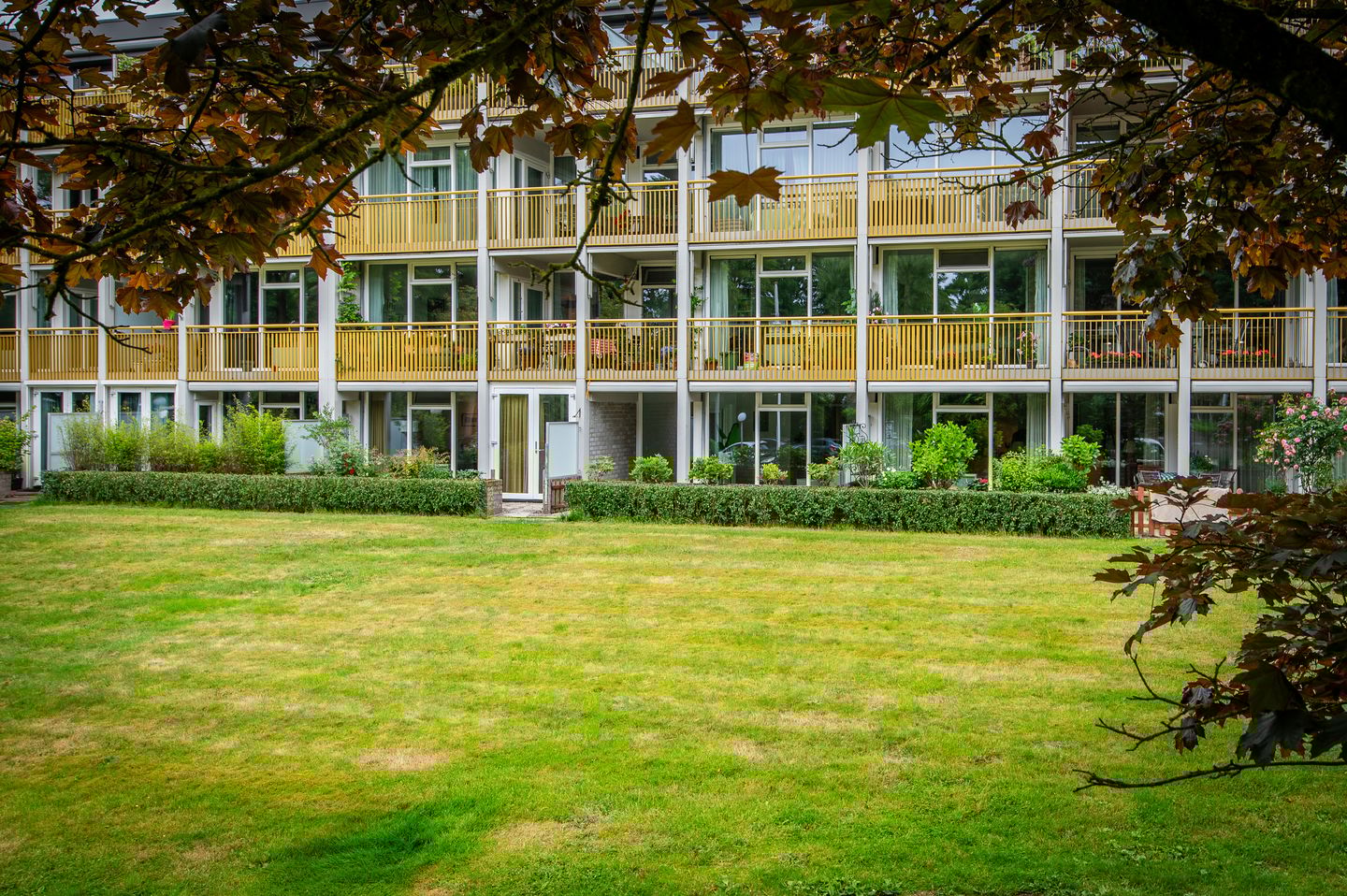 Foto 1 van Park Boswijk 385