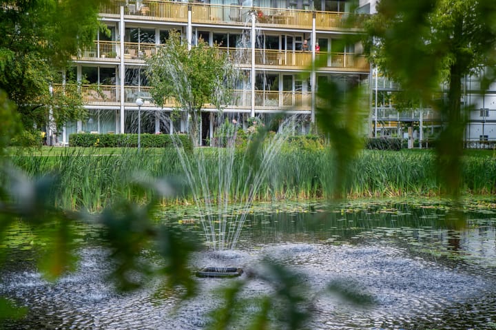 Foto 39 van Park Boswijk 385