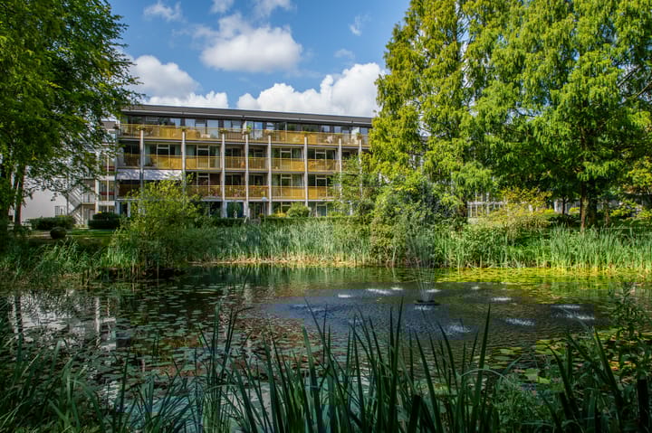 Foto 40 van Park Boswijk 385