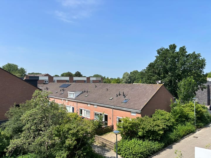 Foto 6 van Poolster 237