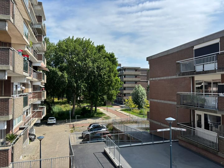 Foto 7 van Poolster 237