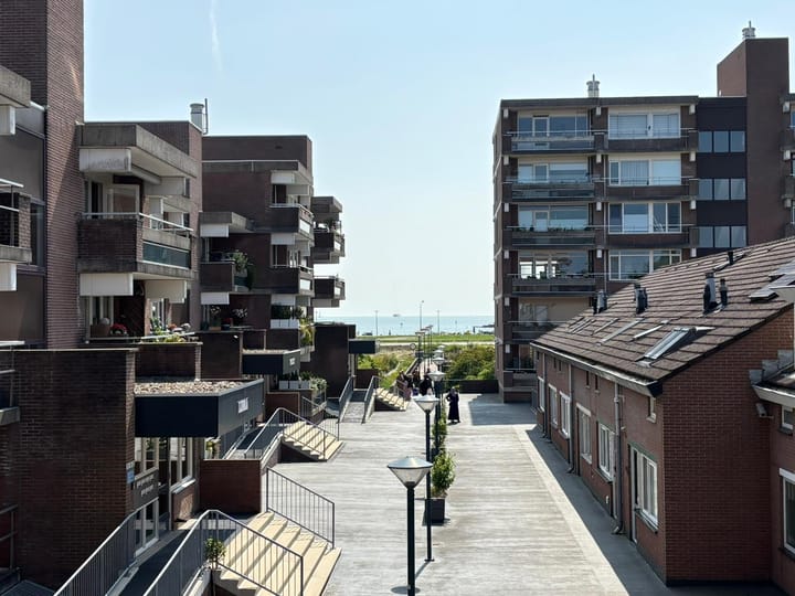 Foto 8 van Poolster 237