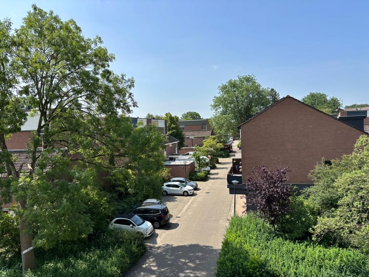 Foto 9 van Poolster 237