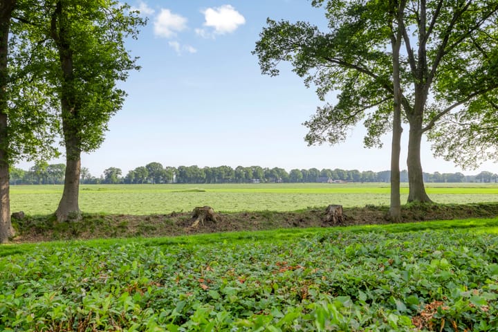 Photo 43 of De Hoorns 9