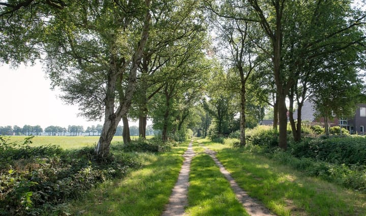 Photo 45 of De Hoorns 9