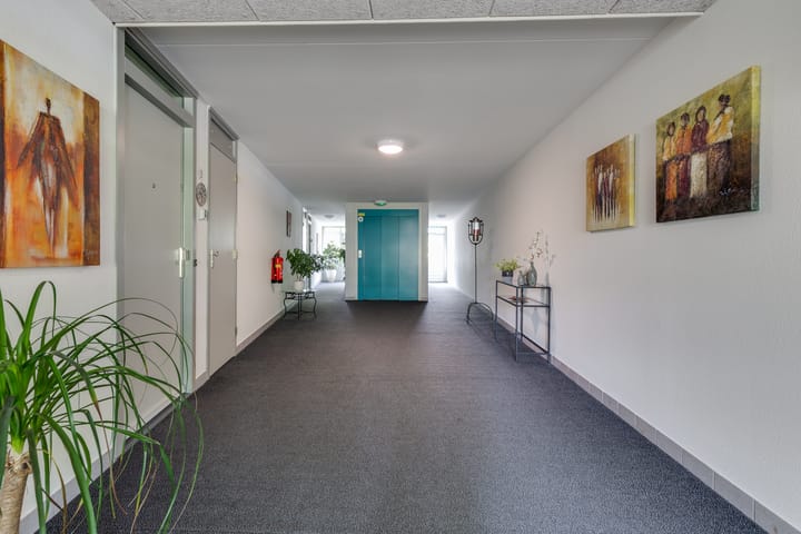 Foto 8 van Hof van Cambridge 21