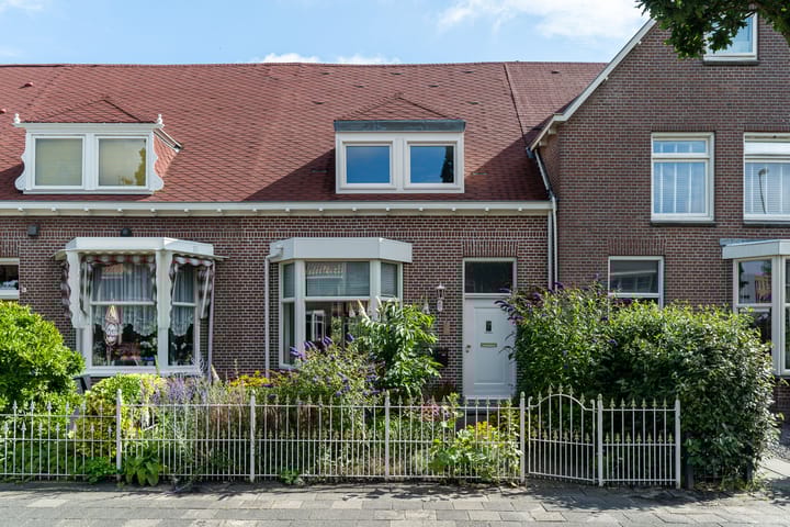 undefined main image