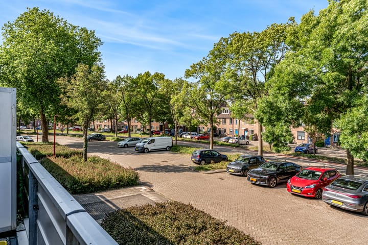 Foto 14 van Goudfazant 34