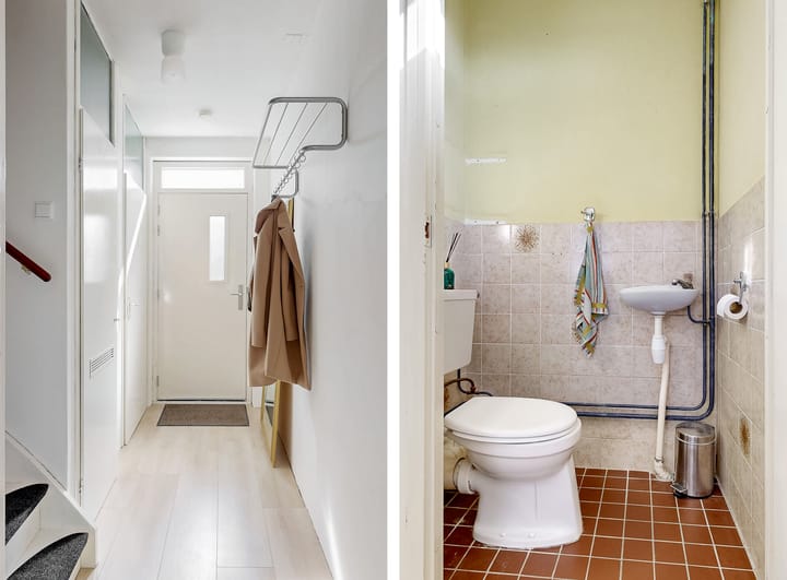 Foto 18 van Goudfazant 34